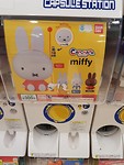 Miffy 😳