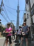 Tokyo Tower (zendmast)