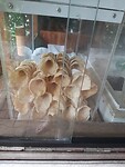 Ijshoorntjes van casave