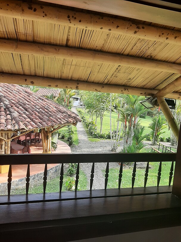 Uitzicht vanaf kamer Finca Palermo