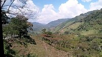Onderweg naar Salamina