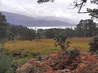 Onderweg op de fiets naar Fort William