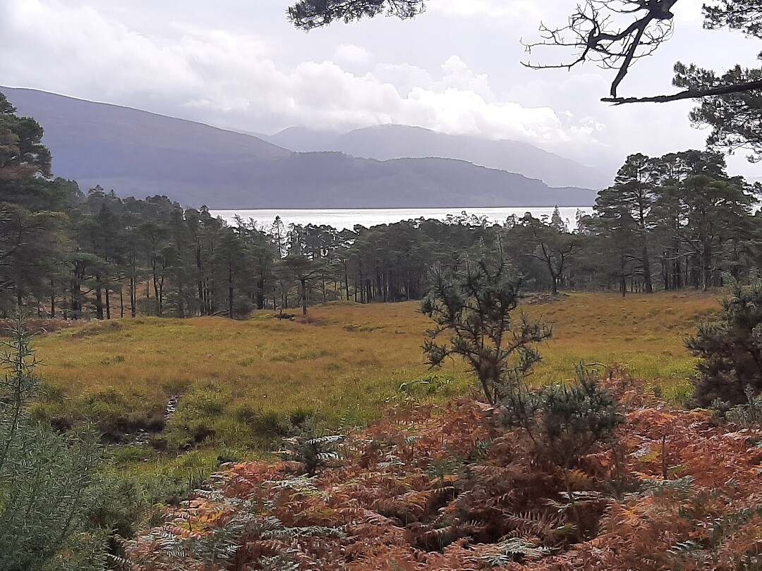 Onderweg op de fiets naar Fort William