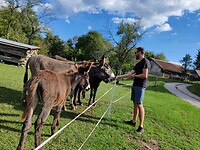 IMG_20220918_161102