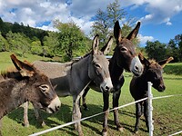 IMG_20220918_161049