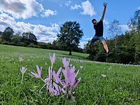 IMG_20220918_150002