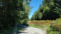 IMG_20220918_111704
