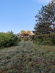 IMG_20220918_071711