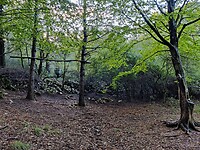 IMG_20220917_181718