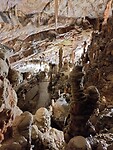 IMG_20220916_151816