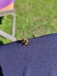 IMG_20220922_110804