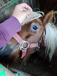 IMG_20220922_094224