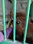 IMG_20220922_094135