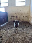 IMG_20220922_094030