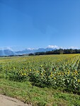 IMG_20220923_110054