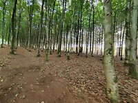 IMG_20220925_172751