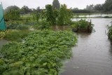 Tuin sleeuwijk