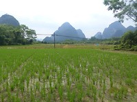 P1050537