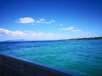 Hallo Bohol