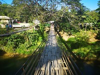 De bamboo hangbrug