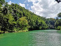 Loboc river
