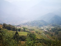 Sapa