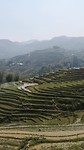 Rijstvelden Sapa