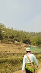 Sapa rijstvelden