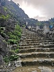 Trap Hàng Mua