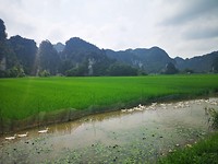 Omgeving Homestay
