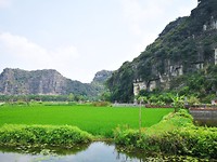 Omgeving Homestay