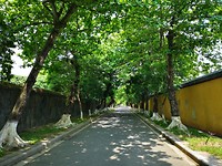 Royal Palace Hue