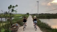 Met Sarah op de fiets door de rijstvelden