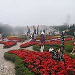 Franse tuin gehuld in de mist
