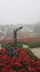 De French garden in de mist