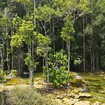 Emerald pool
