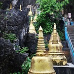Tiger tempel