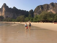 Dinnetjes walking on the beach