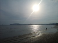 The beach