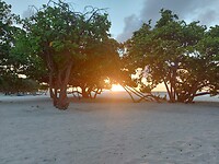 Eagle Beach