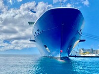 cruise schip
