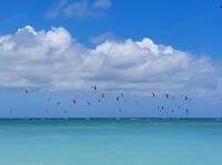 Screenshot_20220617-191615_Photos