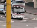 haai bus