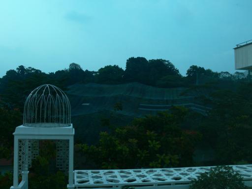 birdpark