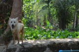 khao_02
