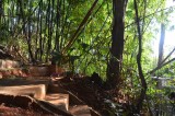 stairs_01