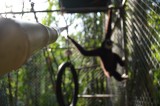 arya_02