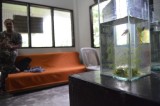 fish_02