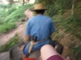 Want een olifant loopt door...