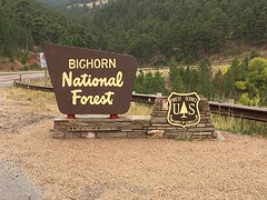 Bighorn National Forest